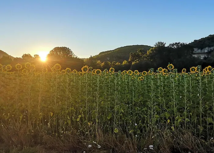Charmante Maison Avec Piscine